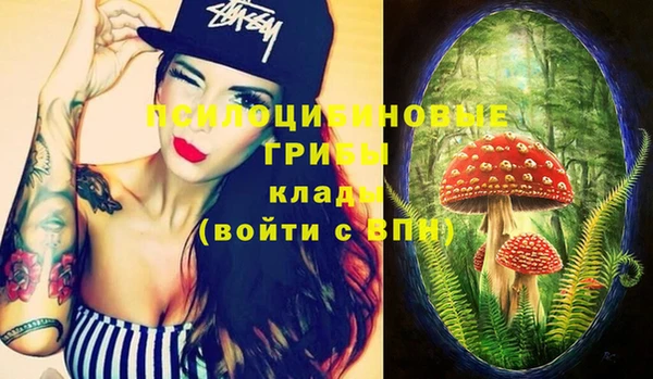 шишки Аркадак