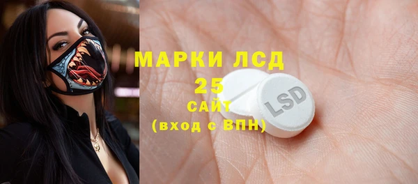 прущий лед Алзамай