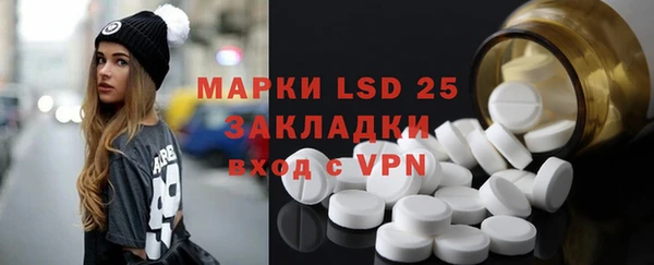 шишки Аркадак