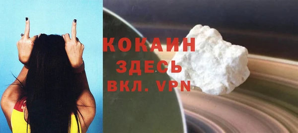 шишки Аркадак