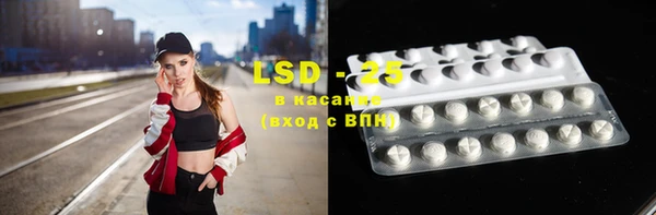 шишки Аркадак