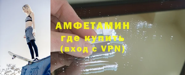 шишки Аркадак