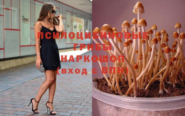 дурь Арсеньев