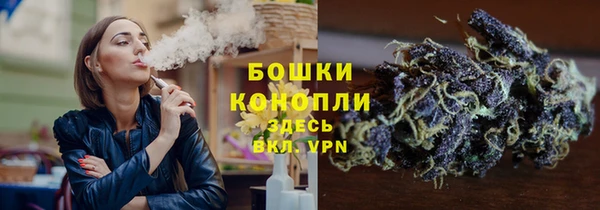 дурь Арсеньев