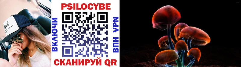 это как зайти  Мензелинск  Псилоцибиновые грибы мухоморы  сколько стоит 